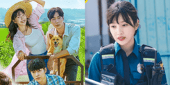 Netflix「偶然的田園時光」7大治癒瞬間！Red Velvet Joy演鄉村女警，幫浪浪發聲評價超高