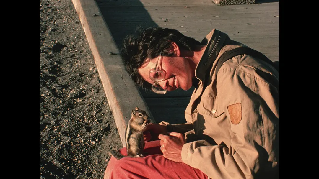 一部无法简单归类的超高分电影《火山挚恋》，看完只有俩字：牛逼，太tm震撼了！