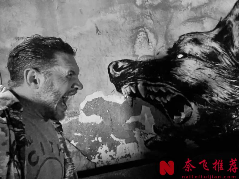 《毒液：最後一舞/毒魔：終極一舞/猛毒最終章：Last Danc》是近期最值得觀看的電影嗎？