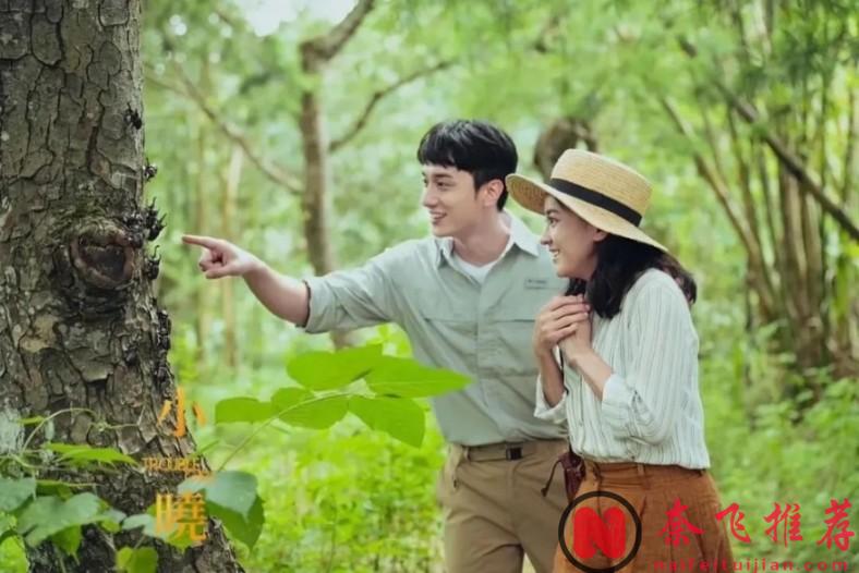 又一部爆片《小晓》口碑杀疯，主角金马奖最年轻获得者，这部电影凭什么？