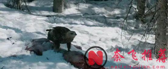 "鷹眼"化身神槍手，這部高分懸疑犯罪電影《獵兇風河谷/風河谷謀殺案/極地追擊》太牛了！