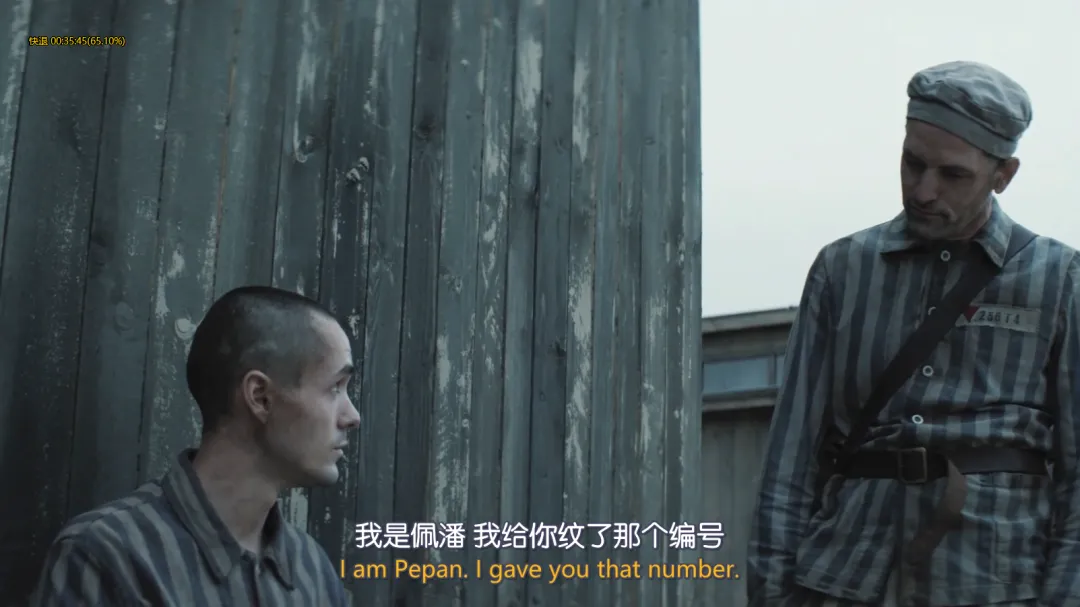 尺度禁忌新剧《奥斯威辛的刺青师/刺青师的美丽人生》，不过被骂惨了！