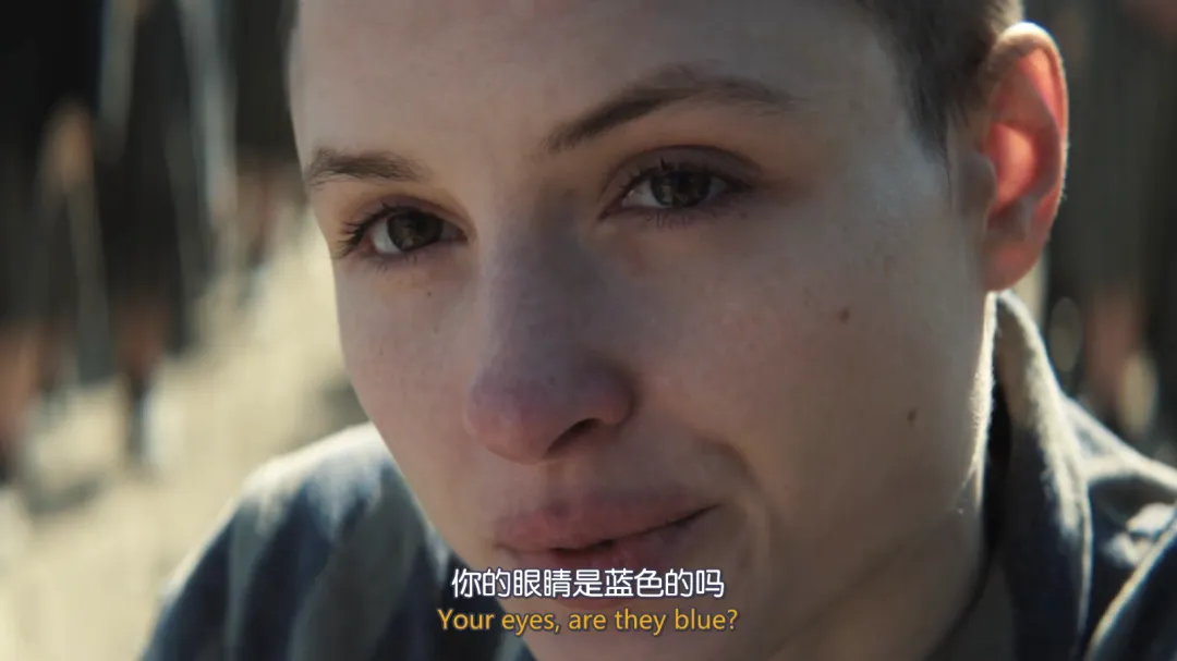 尺度禁忌新剧《奥斯威辛的刺青师/刺青师的美丽人生》，不过被骂惨了！