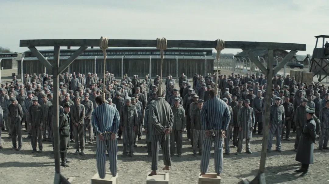 尺度禁忌新剧《奥斯威辛的刺青师/刺青师的美丽人生》，不过被骂惨了！