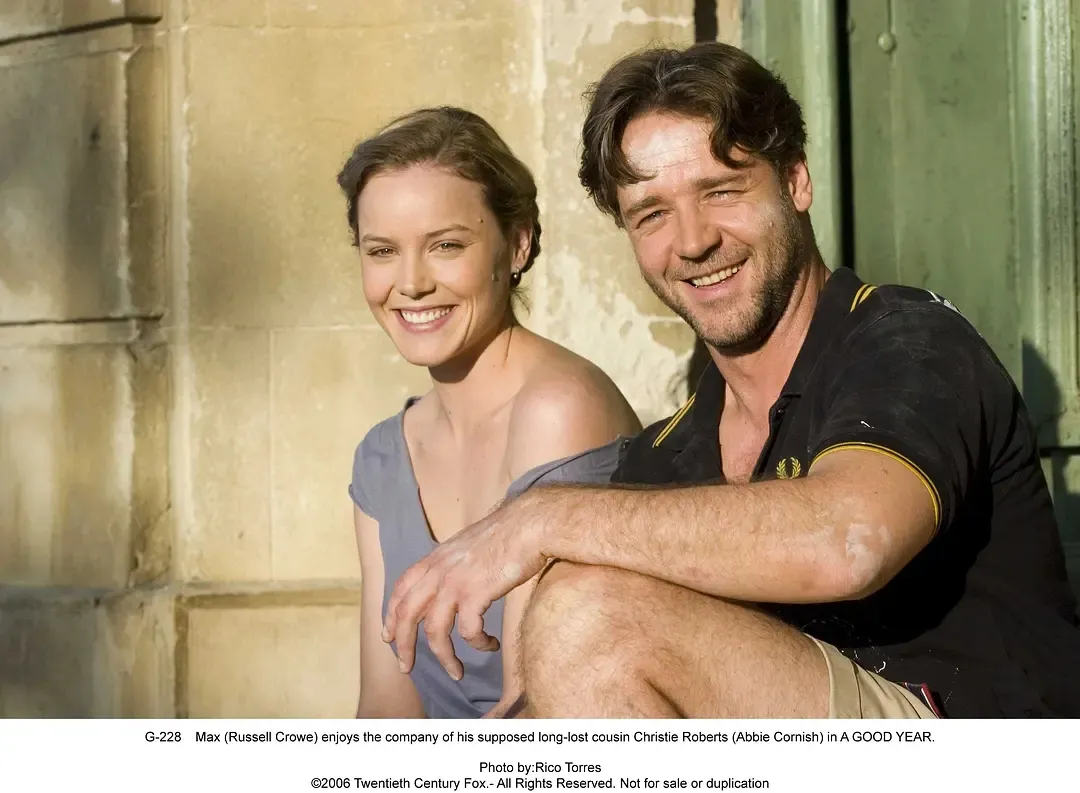 我要吹爆這部《美好的一年/醇美年華》電影，看了十幾遍都不膩！非常好看