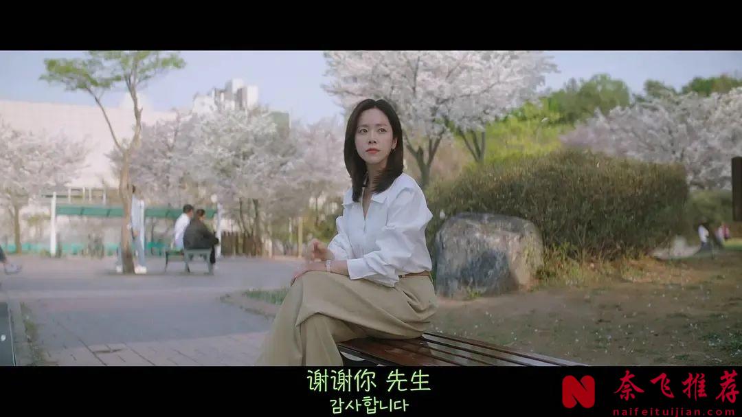 2025收視率最高的韓劇TOP10