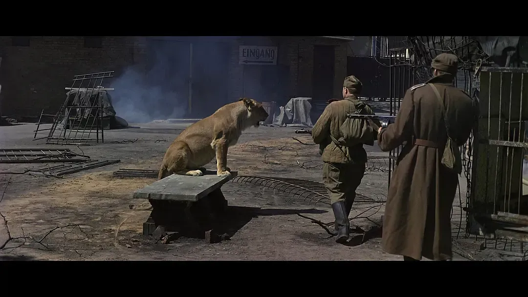 五部弥足珍贵的苏联二战片，你看过几部？