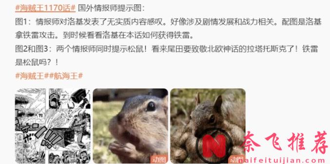 航海王/海賊王1170話：洛基居然是松鼠果實？他還秒殺過騎士團的人