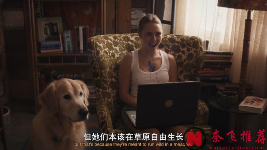 第一季就上頭，終於又有懸疑劇佳作《格羅斯波因特園藝社群》可看了！