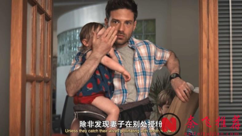 第一季就上頭，終於又有懸疑劇佳作《格羅斯波因特園藝社群》可看了！