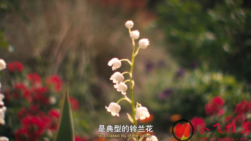 第一季就上頭，終於又有懸疑劇佳作《格羅斯波因特園藝社群》可看了！