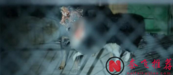 好变态，好精彩，这部恐怖片《同甘共苦/永远在一起/长相黐守》尺度逆天到不敢呼吸