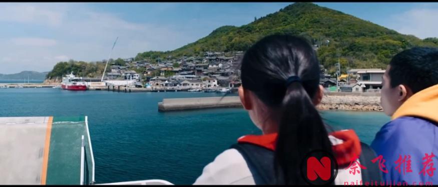 日本年度最佳悬疑片《失踪/寻人启弑》，尺度剧情到位，唯独女主太特别...