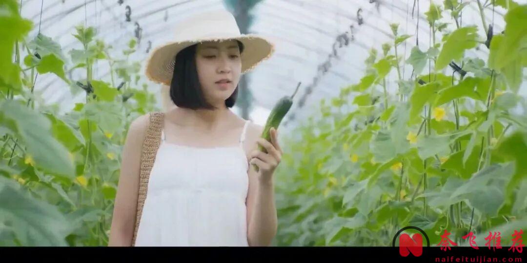 非常大膽敢拍的五部電影，真的猜不透韓國人