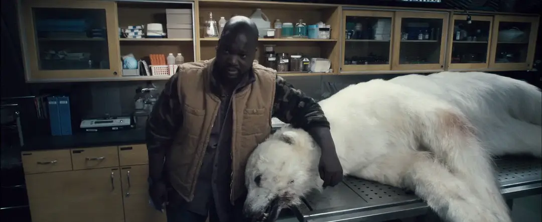 暗夜寄生體：5部細思極恐的驚魂推薦