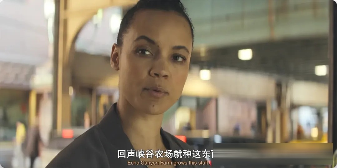《俠女內莉》：離開雷徹的背景，她如何成為自己的主角