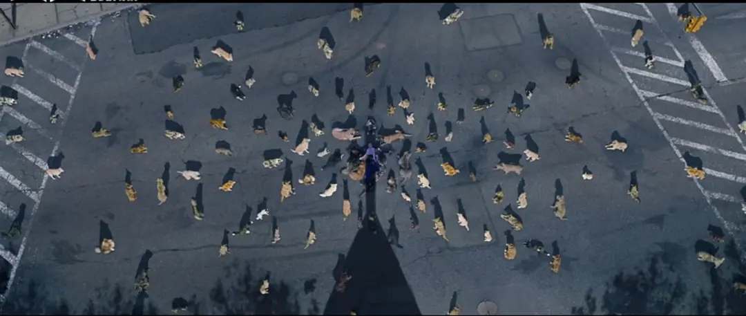 犬笼中的神性，被弃者的光辉，这部《狗神/人犬》远非简单的“人狗情深”故事