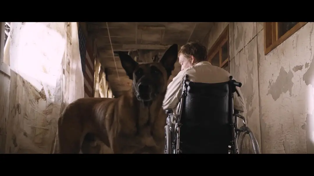 犬笼中的神性，被弃者的光辉，这部《狗神/人犬》远非简单的“人狗情深”故事