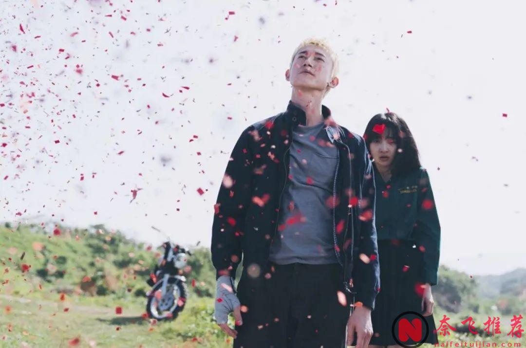 連刷2集《塑膠花》，這麼土的劇，竟然被他演活了？