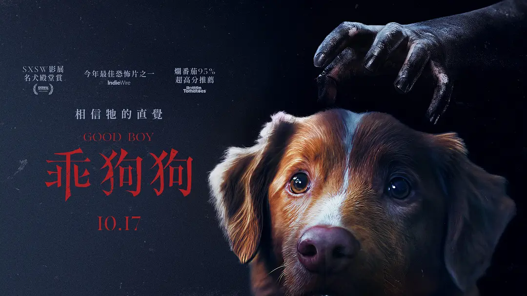 2025年最令人落泪的恐怖片《好狗狗/乖狗狗》它来了