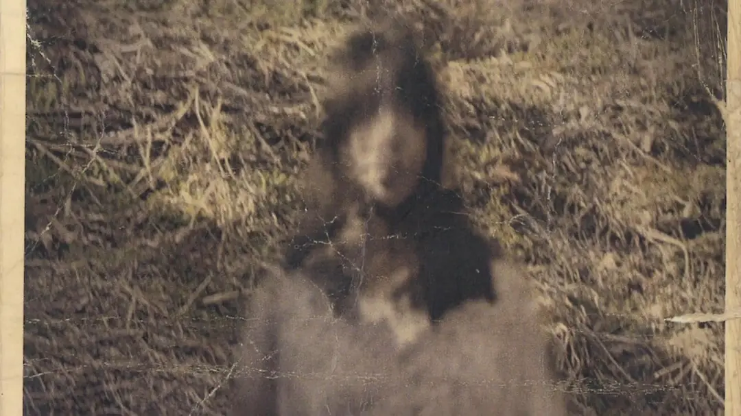 看了一部令人发毛的恐怖片《TXQ FICTION 寻找石永菊江》，吓尿了