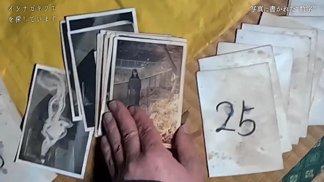 看了一部令人发毛的恐怖片《TXQ FICTION 寻找石永菊江》，吓尿了