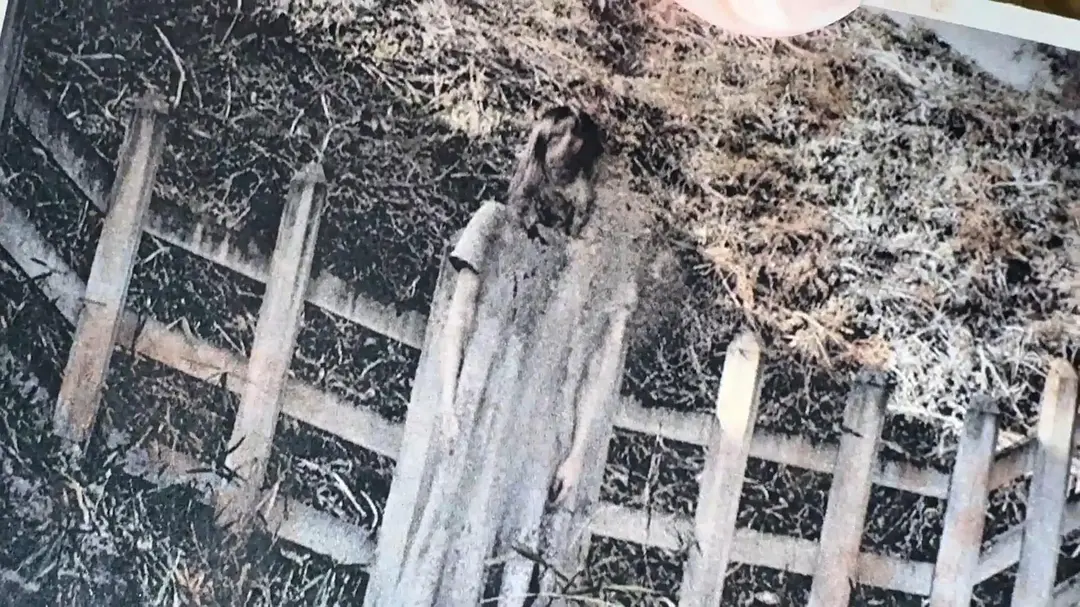 看了一部令人发毛的恐怖片《TXQ FICTION 寻找石永菊江》，吓尿了