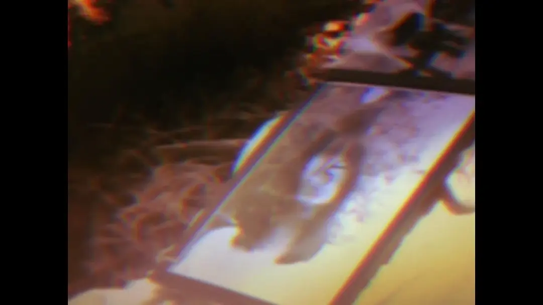 看了一部令人发毛的恐怖片《TXQ FICTION 寻找石永菊江》，吓尿了