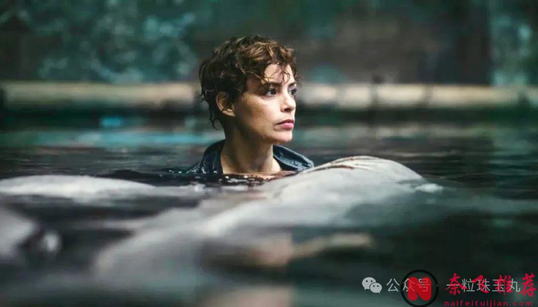 Netflix 《倫敦黑幫》《殺手：代號47》導演新片《巴黎深淵》定檔，浪漫巴黎打巨鯊！