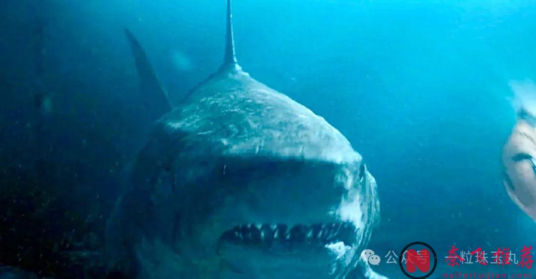 Netflix 《倫敦黑幫》《殺手：代號47》導演新片《巴黎深淵》定檔，浪漫巴黎打巨鯊！