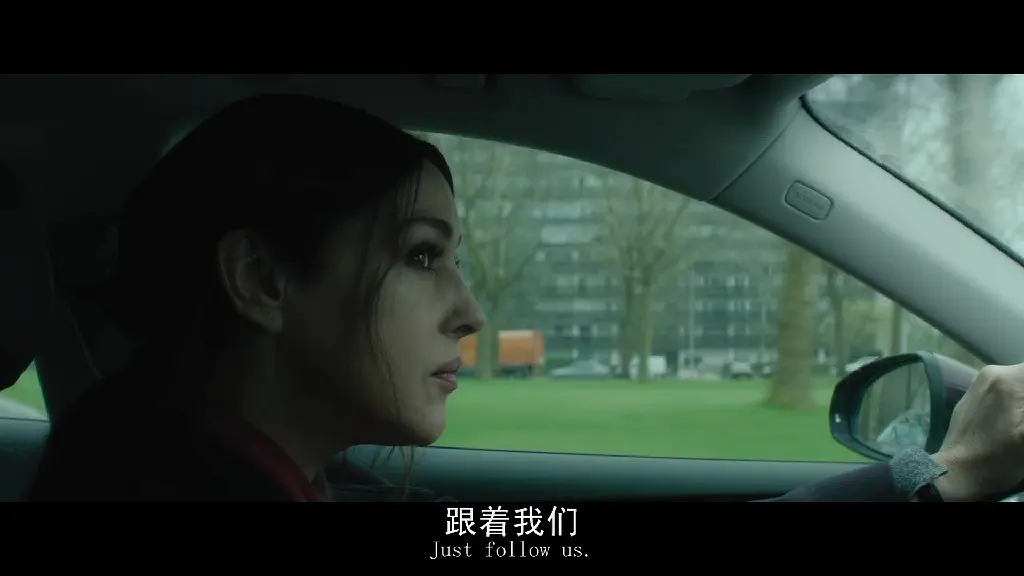 《莫妮卡·贝鲁奇/贝露琪/贝鲁齐》近期新片推荐，每一部都很好看，功力不减当年