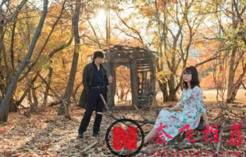 殿堂级艺术，丰碑式高度，进度条拉坏的作品《记忆的静物》！