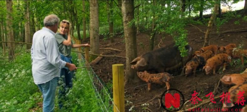 9.6分炸了，這零差評口碑神作《克拉克森的農場》第四季終於迴歸！