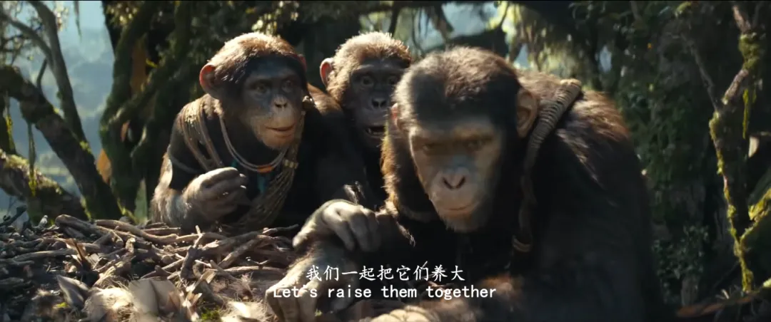 视觉效果堪称一流的高燃爽片《猩球崛起：新世界/王国诞生/猿人争霸战：猩凶帝国》值得一看！