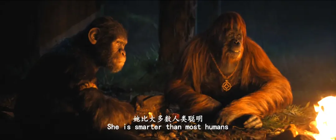 视觉效果堪称一流的高燃爽片《猩球崛起：新世界/王国诞生/猿人争霸战：猩凶帝国》值得一看！