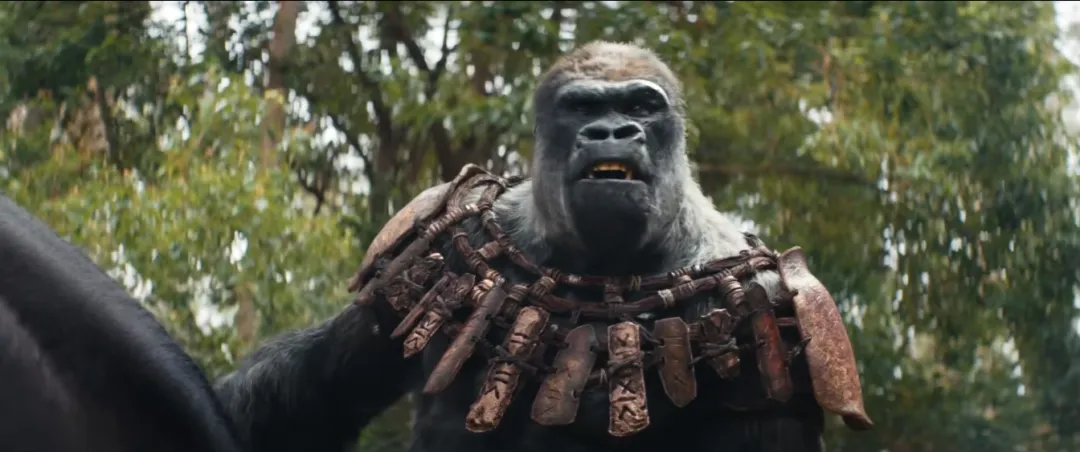 视觉效果堪称一流的高燃爽片《猩球崛起：新世界/王国诞生/猿人争霸战：猩凶帝国》值得一看！