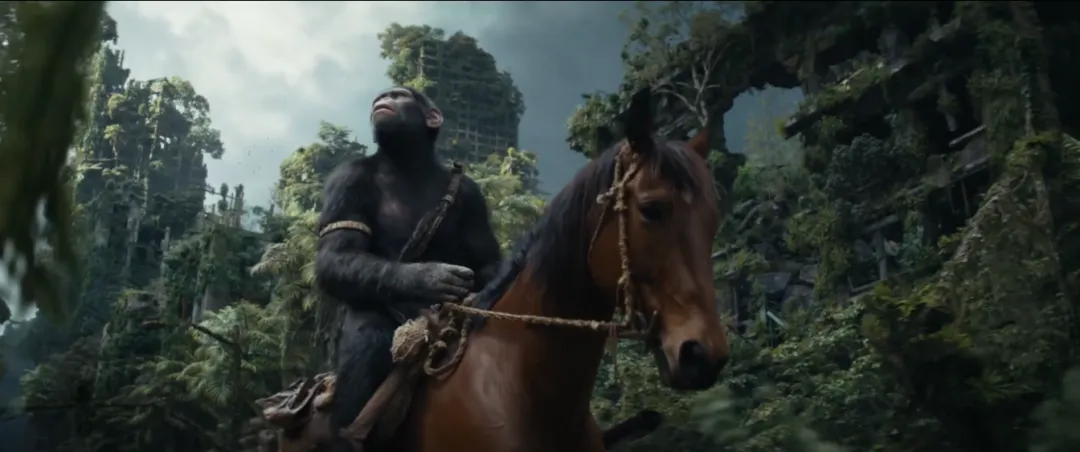 视觉效果堪称一流的高燃爽片《猩球崛起：新世界/王国诞生/猿人争霸战：猩凶帝国》值得一看！