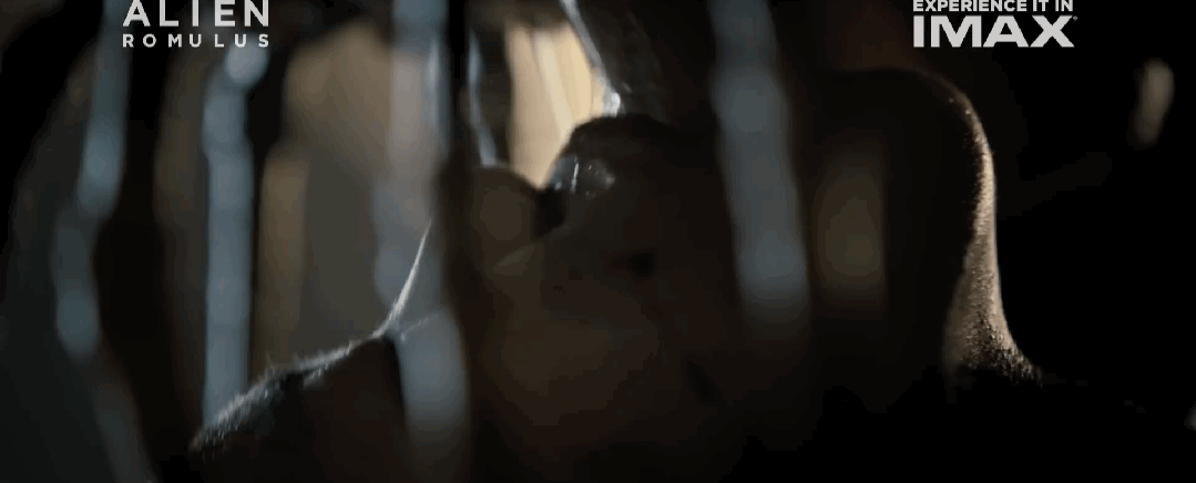 《异形：夺命舰/罗穆卢斯/罗穆路斯》导演爆料在社交网站Reddit中讨论自己的影片竟被封禁