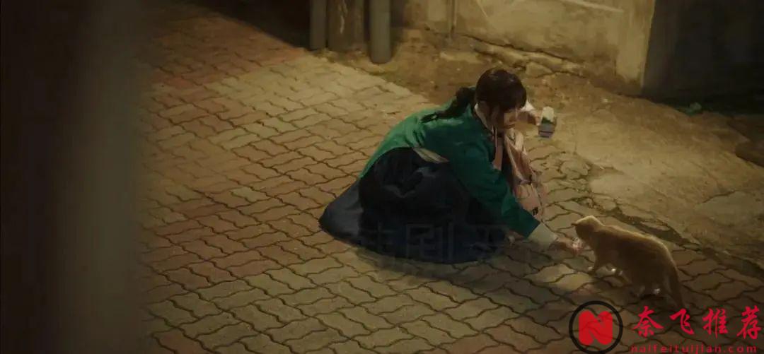 笑瘋了，這下飯韓國喜劇《她的日與夜》，強烈推薦！