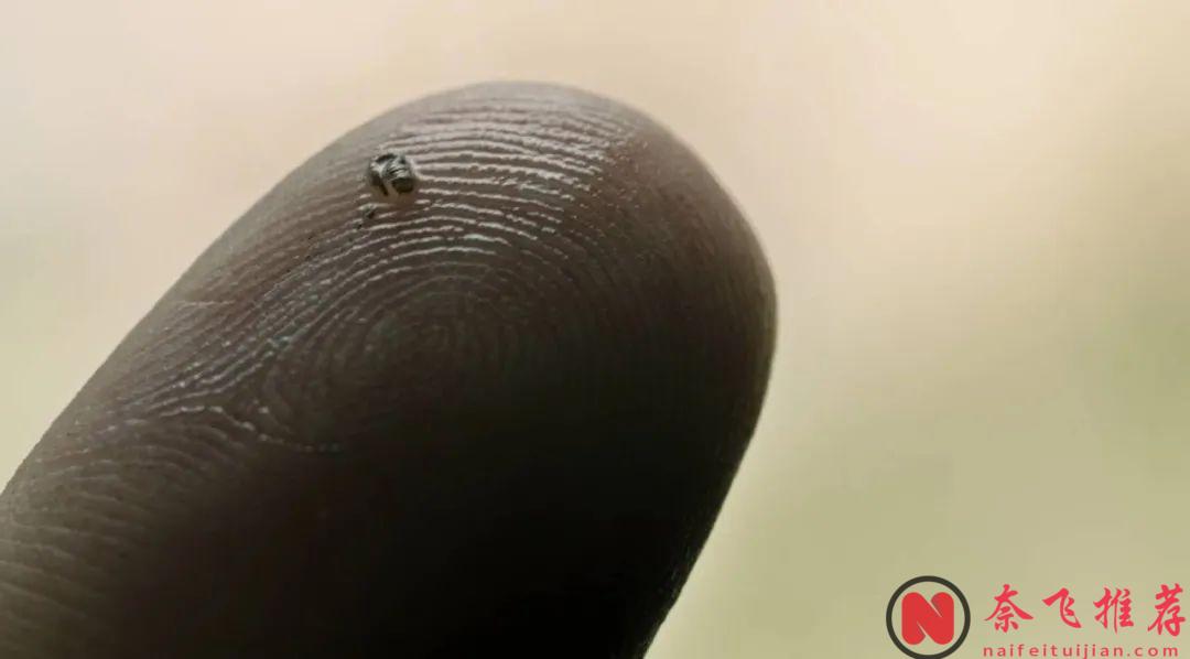 哥特式恐怖，这部惊悚美剧《救命解药/药到命除》没有血腥镜头，却让人头皮发麻！