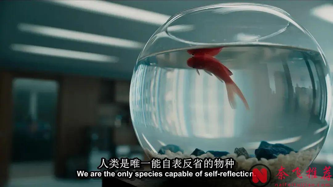 哥特式恐怖，这部惊悚美剧《救命解药/药到命除》没有血腥镜头，却让人头皮发麻！