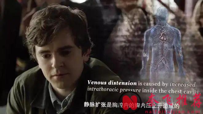 治癒美劇《良醫/好醫生》劇如其名，救死扶傷是醫生的本職，但做一個好醫生遠不止於此！