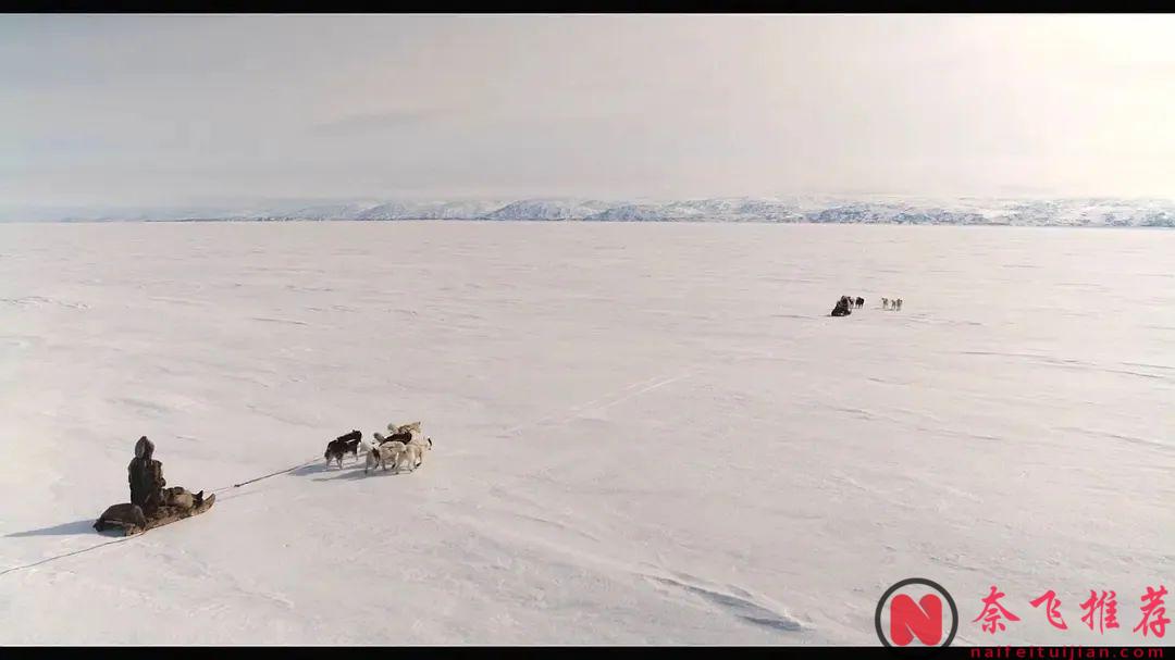 一部被嚴重低估的神作《北海鯨夢》，這部懸疑劇集將我們帶入北極海域，我們將跟隨"志願號"進入這場冒險！