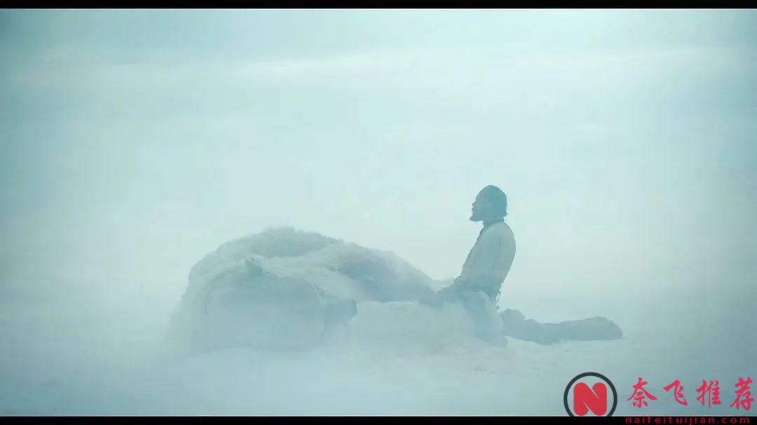 一部被嚴重低估的神作《北海鯨夢》，這部懸疑劇集將我們帶入北極海域，我們將跟隨"志願號"進入這場冒險！