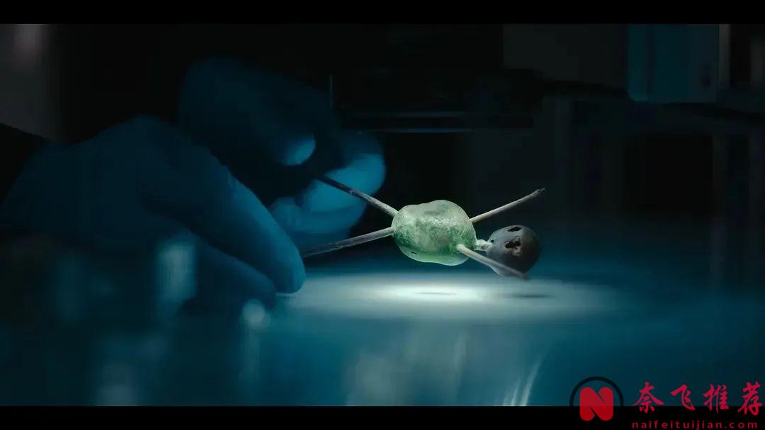 强烈建议不要晚上观看这部由Netfilx出品的惊悚剧《寒栗/栗子人杀手》！