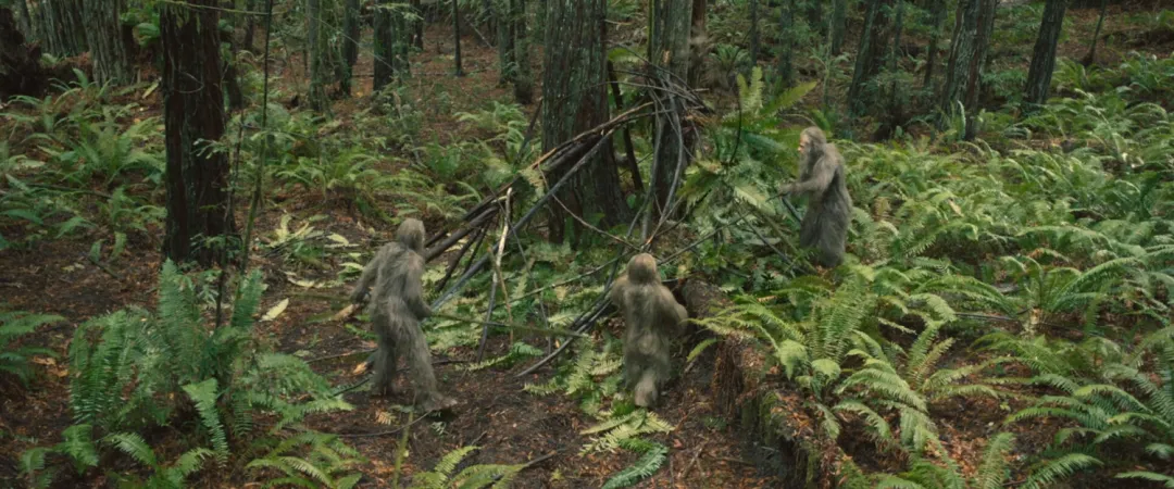 全程无“人类”出现的电影《大脚野人日落/大腳怪怪的》，以独特的视角进入原始世界