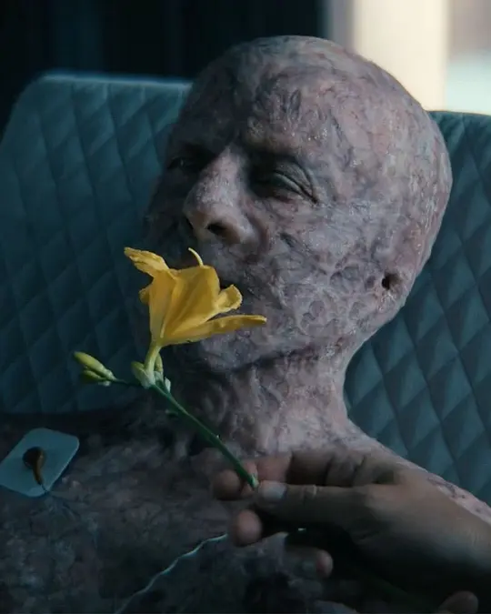 這幾部壓箱底的美劇迴歸，有2部要說再見了