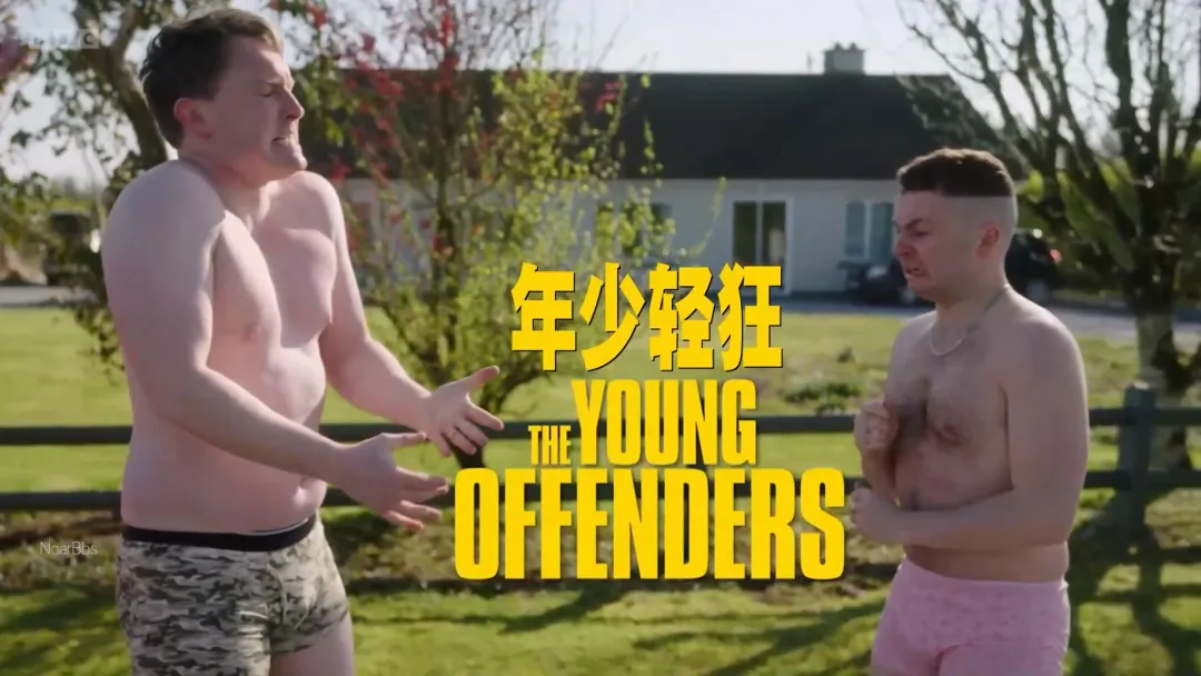 单集9.1分！年度最「雕」就是它《年少轻狂/少年犯》第四季