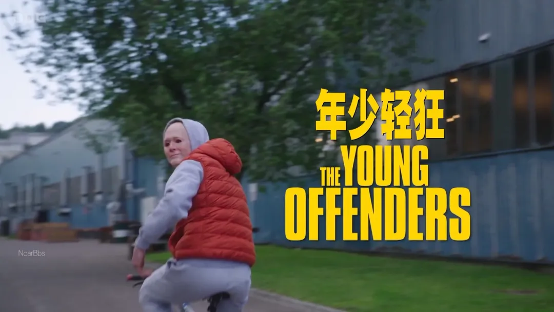 单集9.1分！年度最「雕」就是它《年少轻狂/少年犯》第四季