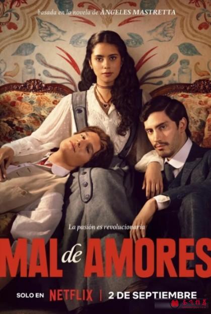 9月2日起，Netflix網飛 Hulu 4部新劇接連上線，亂世愛情、英倫犯罪劇續集、題材各異，追哪部？